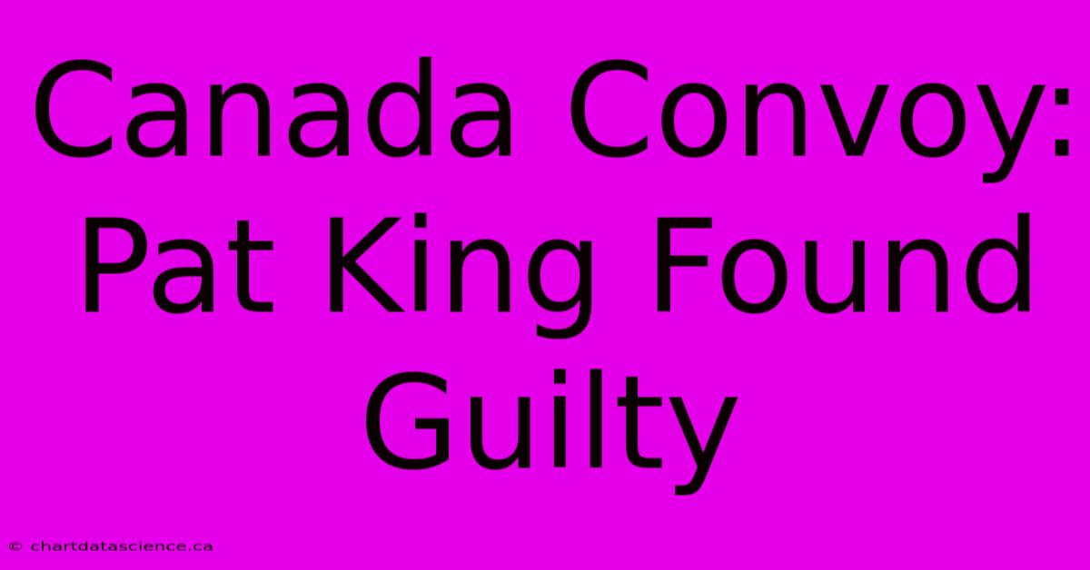 Canada Convoy: Pat King Found Guilty