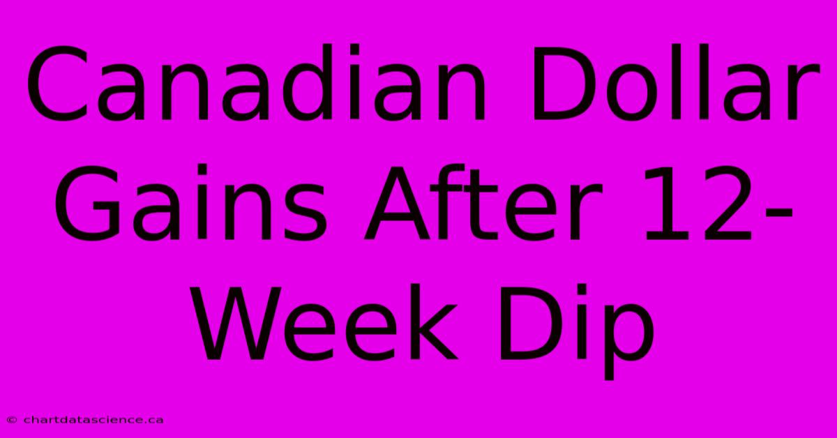 Canadian Dollar Gains After 12-Week Dip