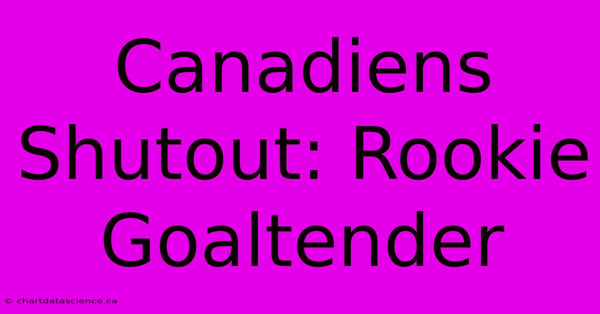 Canadiens Shutout: Rookie Goaltender