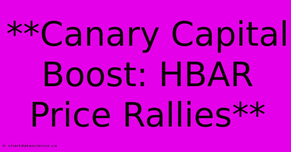 **Canary Capital Boost: HBAR Price Rallies**