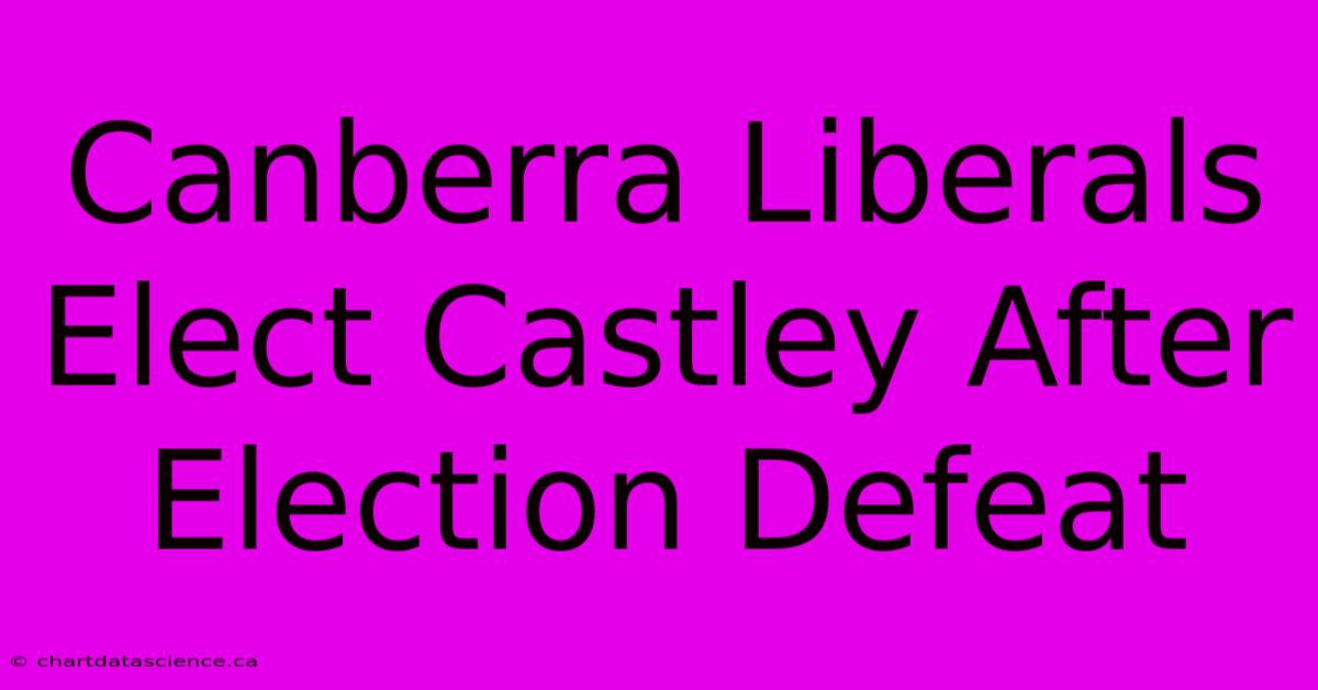 Canberra Liberals Elect Castley After Election Defeat