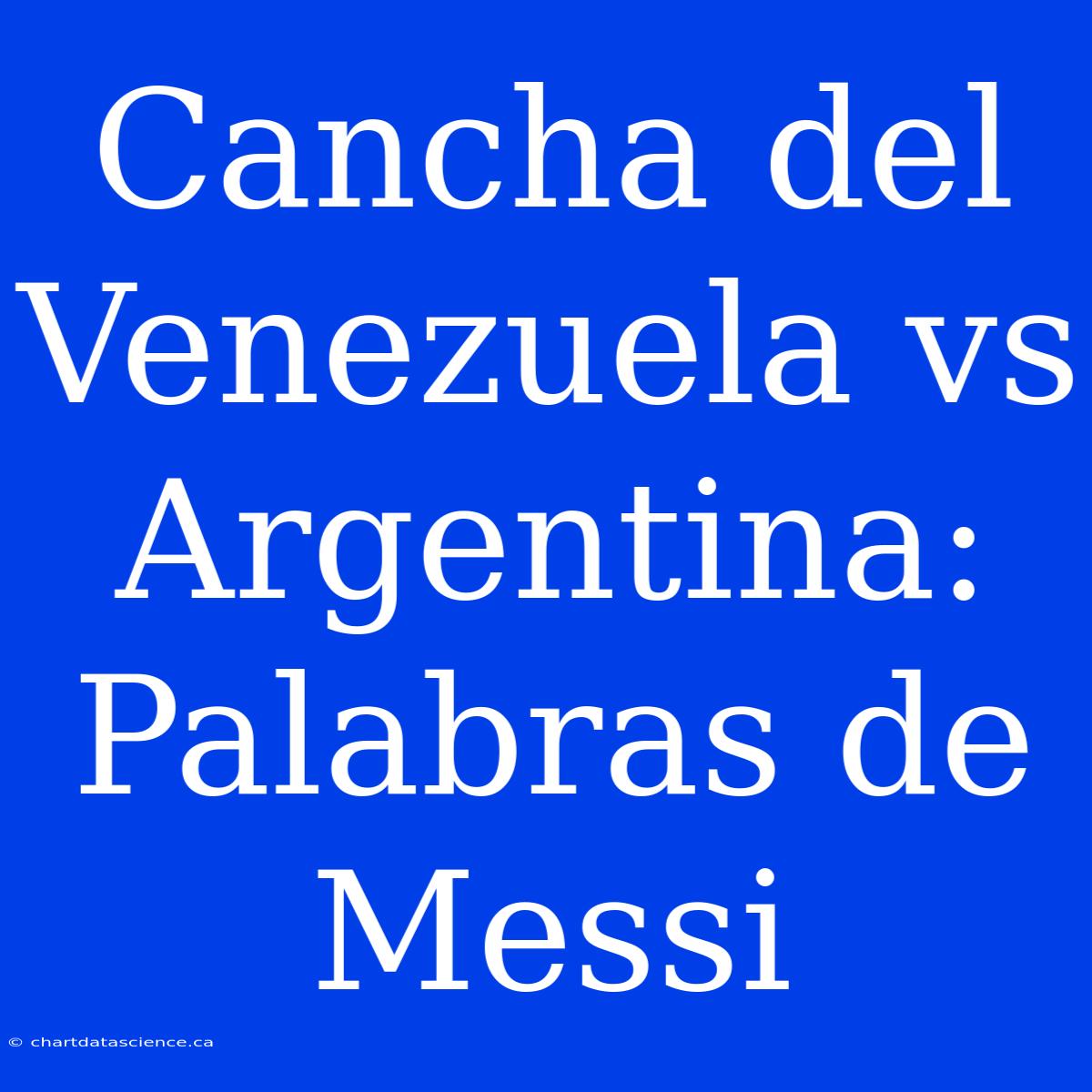 Cancha Del Venezuela Vs Argentina: Palabras De Messi