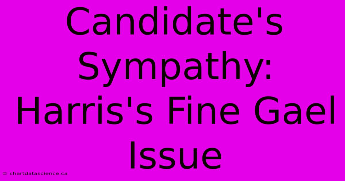 Candidate's Sympathy: Harris's Fine Gael Issue