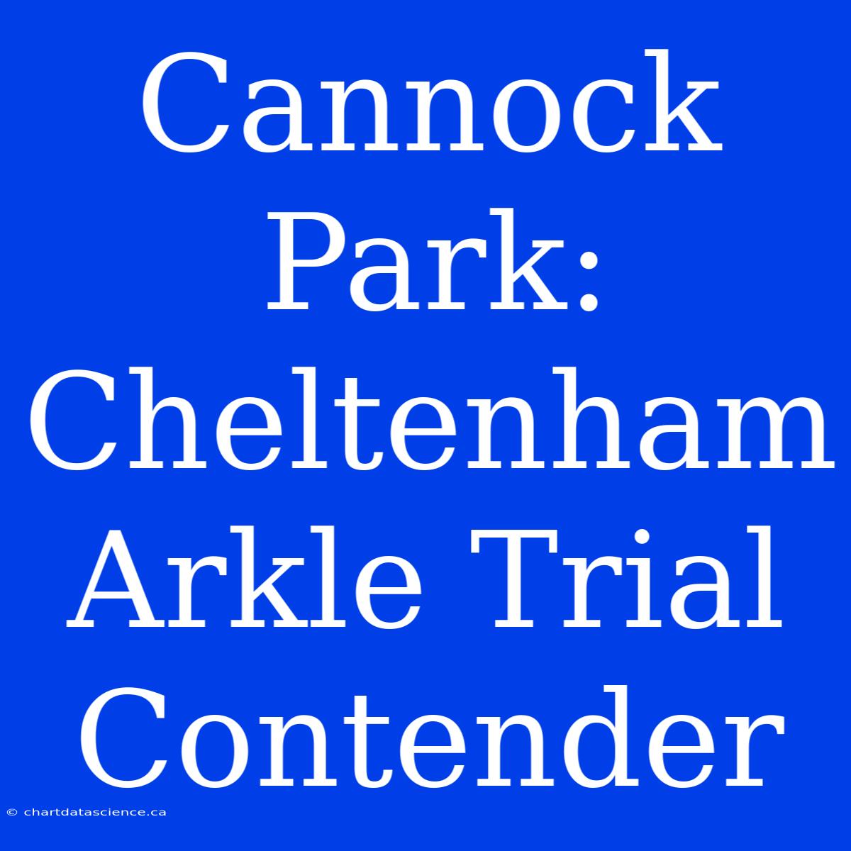 Cannock Park: Cheltenham Arkle Trial Contender