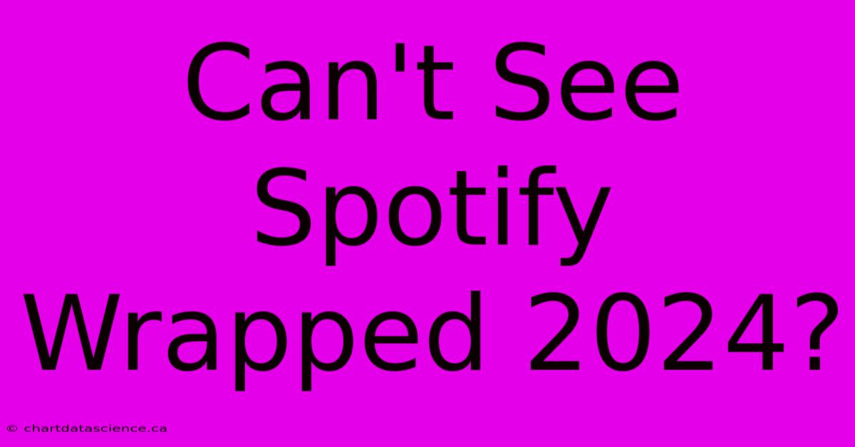 Can't See Spotify Wrapped 2024?