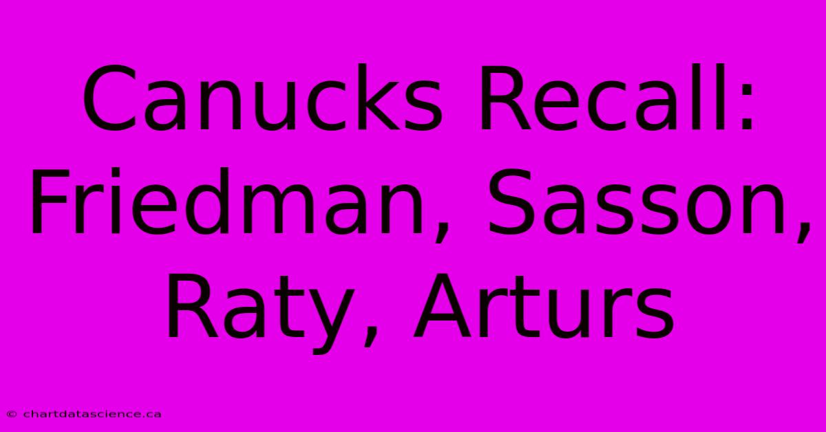 Canucks Recall: Friedman, Sasson, Raty, Arturs