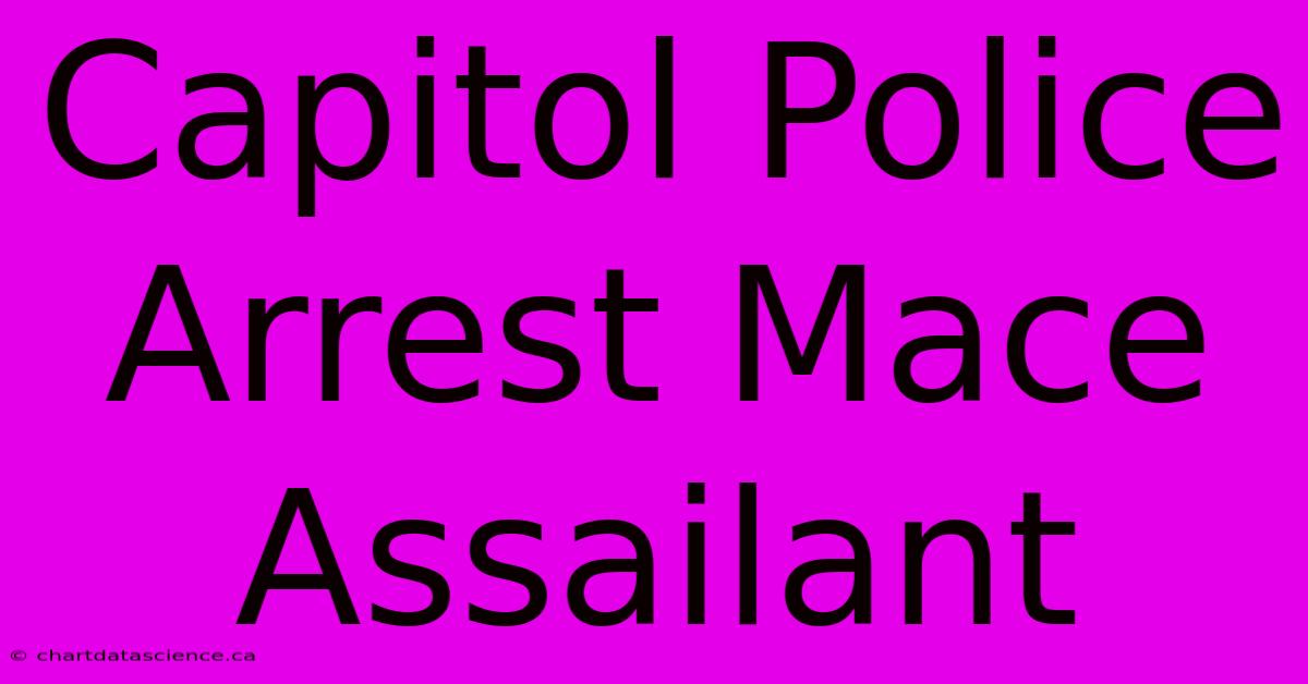 Capitol Police Arrest Mace Assailant