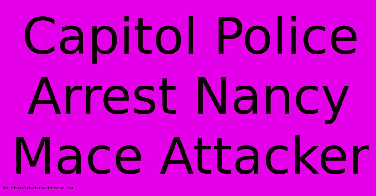 Capitol Police Arrest Nancy Mace Attacker