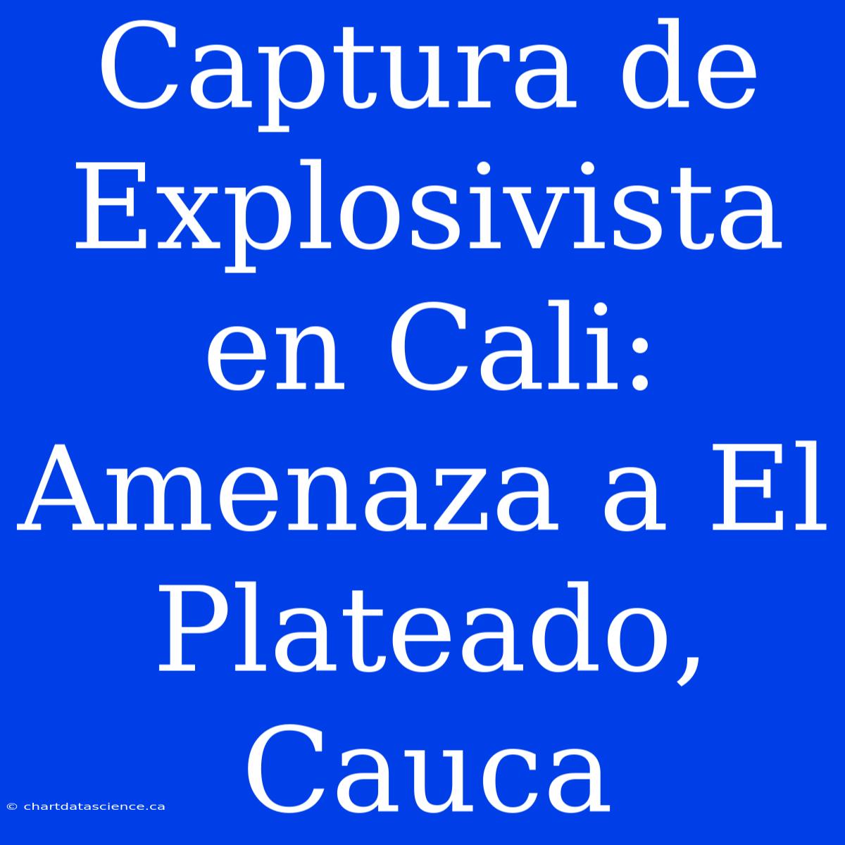 Captura De Explosivista En Cali: Amenaza A El Plateado, Cauca