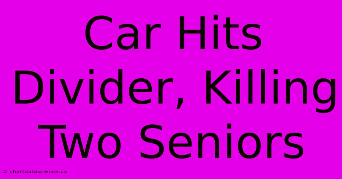 Car Hits Divider, Killing Two Seniors