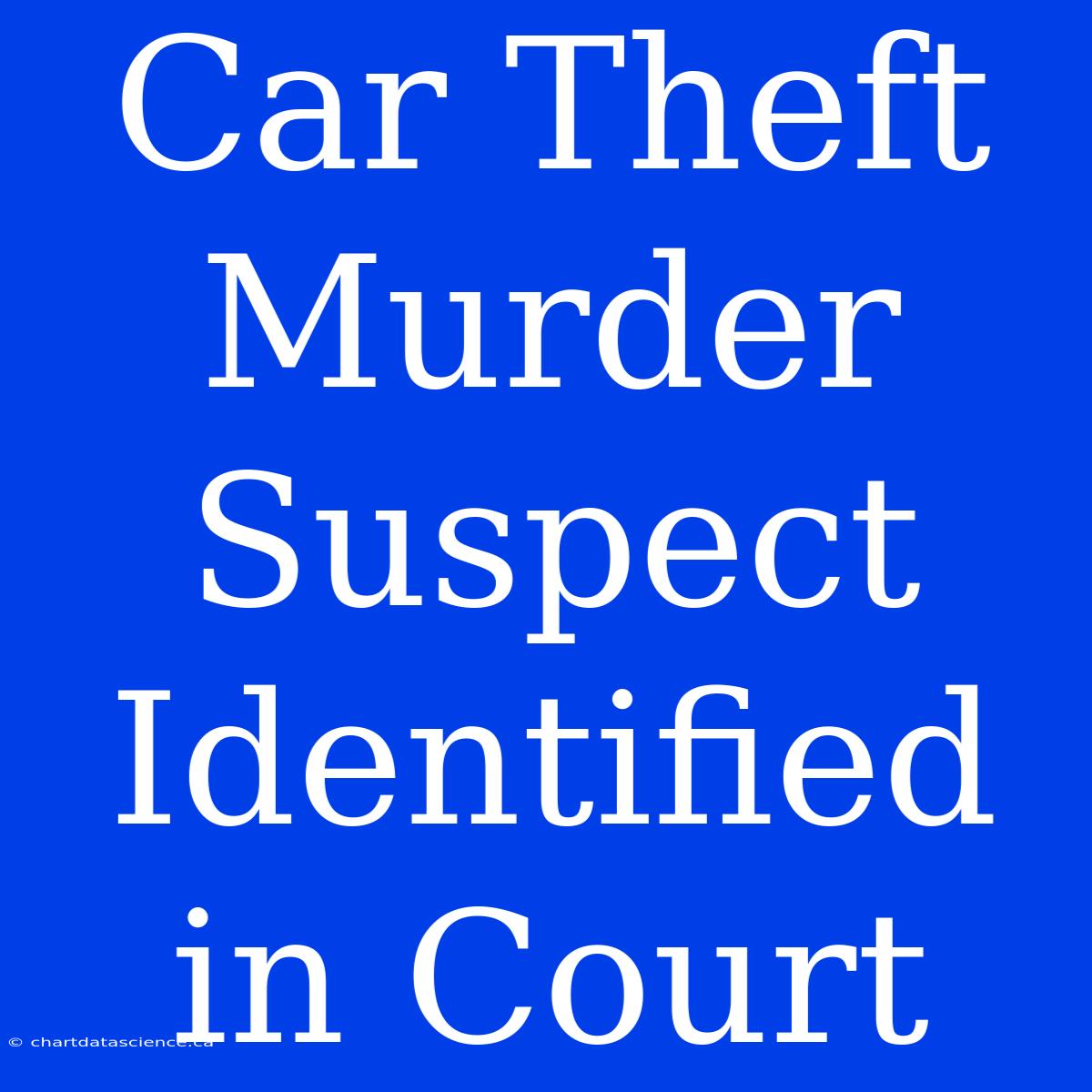 Car Theft Murder Suspect Identified In Court