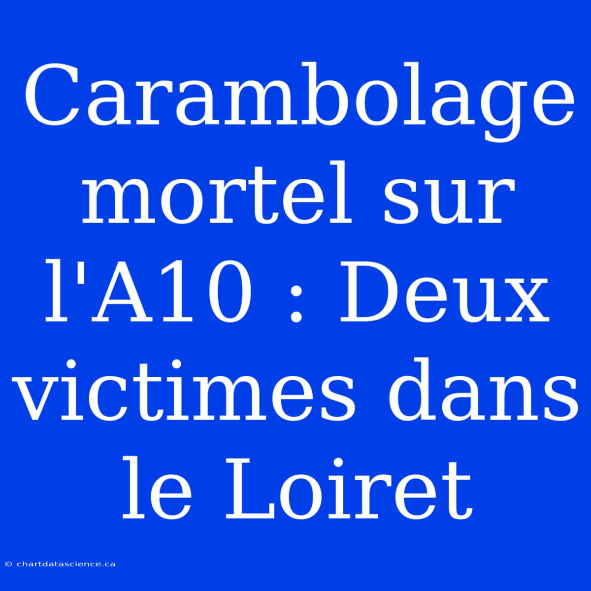 Carambolage Mortel Sur L'A10 : Deux Victimes Dans Le Loiret