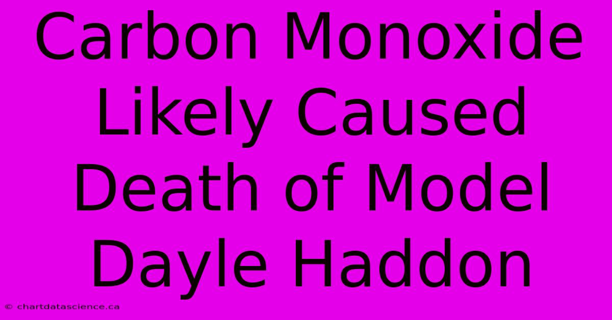 Carbon Monoxide Likely Caused Death Of Model Dayle Haddon