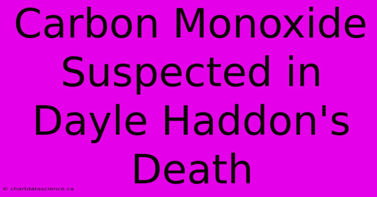 Carbon Monoxide Suspected In Dayle Haddon's Death