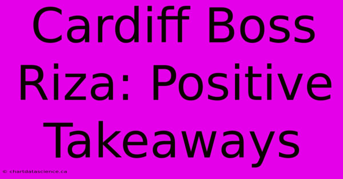 Cardiff Boss Riza: Positive Takeaways