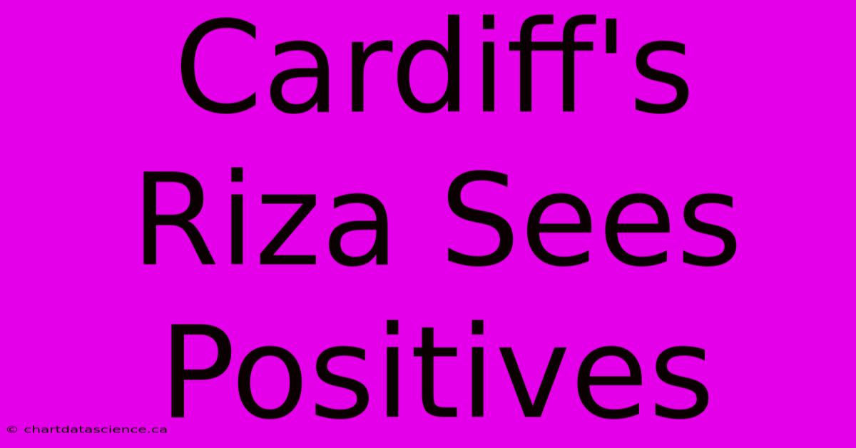 Cardiff's Riza Sees Positives