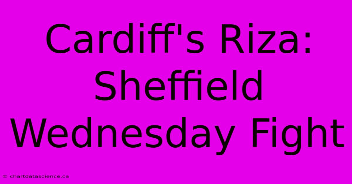 Cardiff's Riza: Sheffield Wednesday Fight