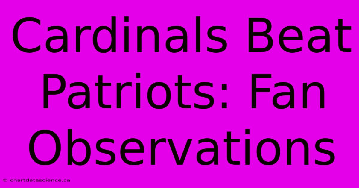 Cardinals Beat Patriots: Fan Observations