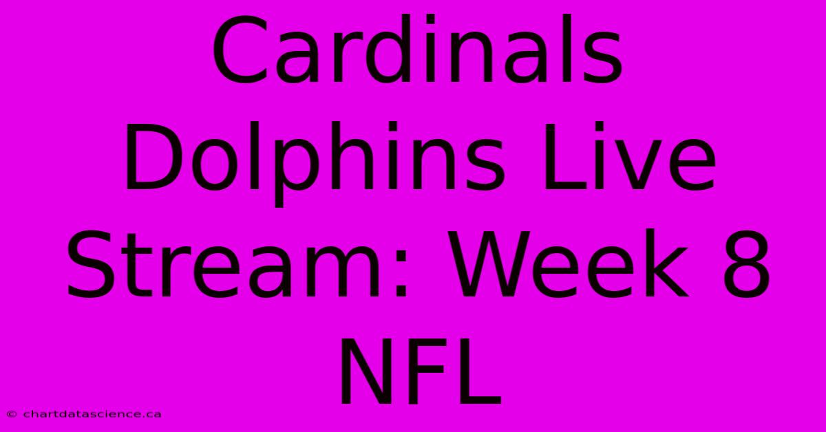 Cardinals Dolphins Live Stream: Week 8 NFL 