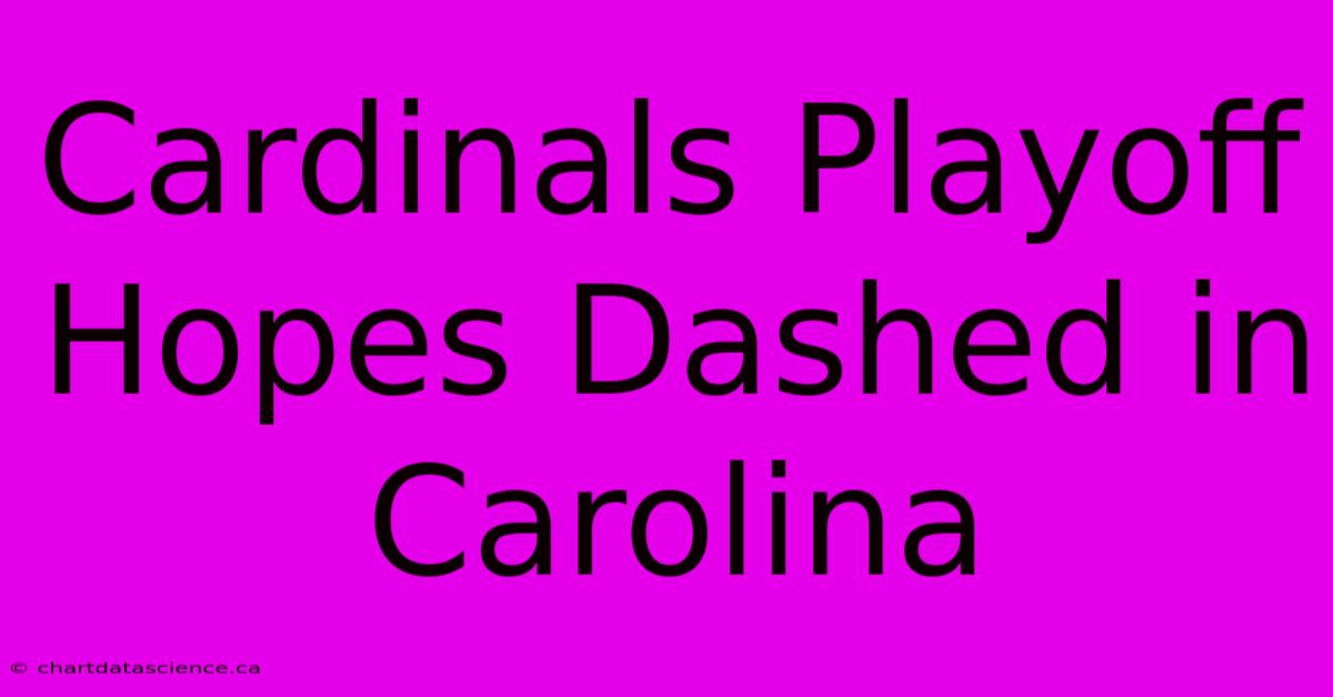 Cardinals Playoff Hopes Dashed In Carolina