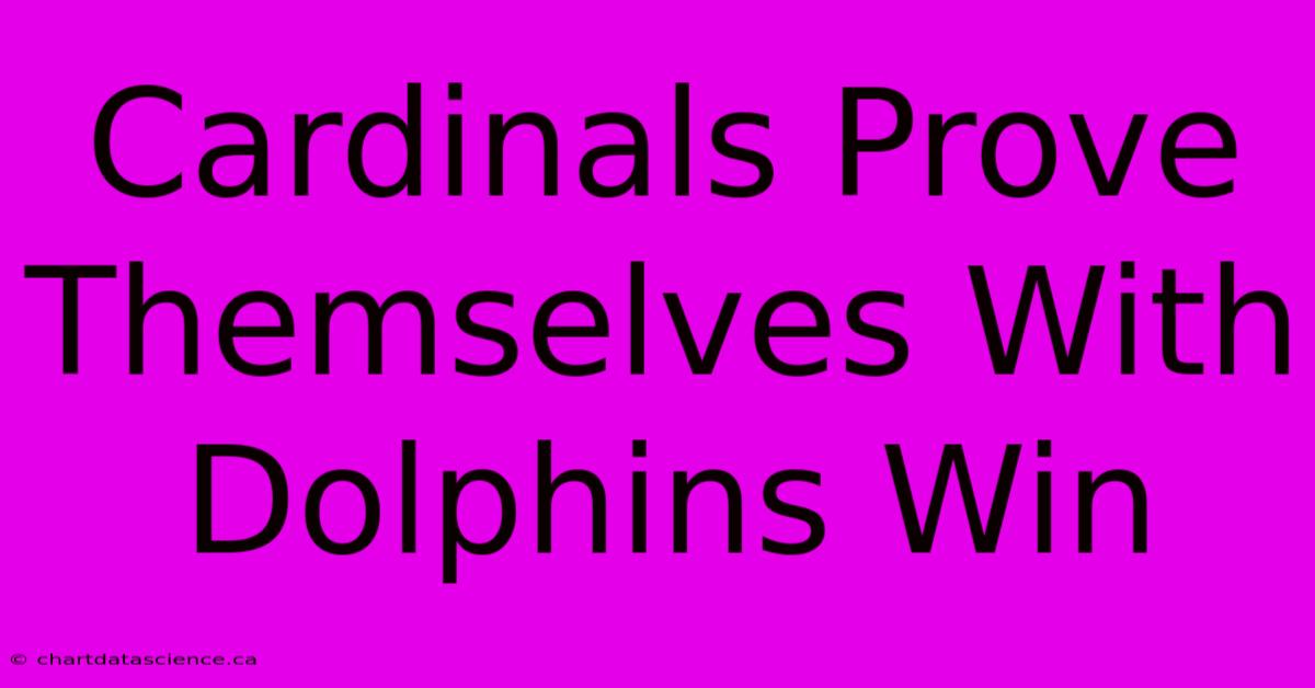 Cardinals Prove Themselves With Dolphins Win