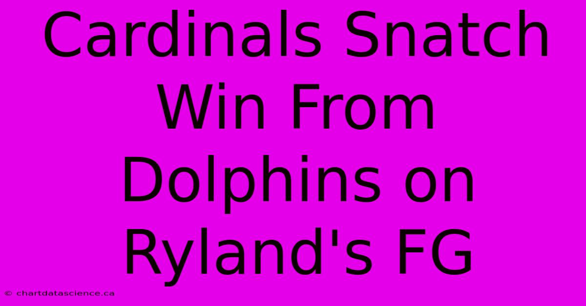 Cardinals Snatch Win From Dolphins On Ryland's FG