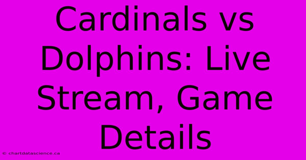 Cardinals Vs Dolphins: Live Stream, Game Details 