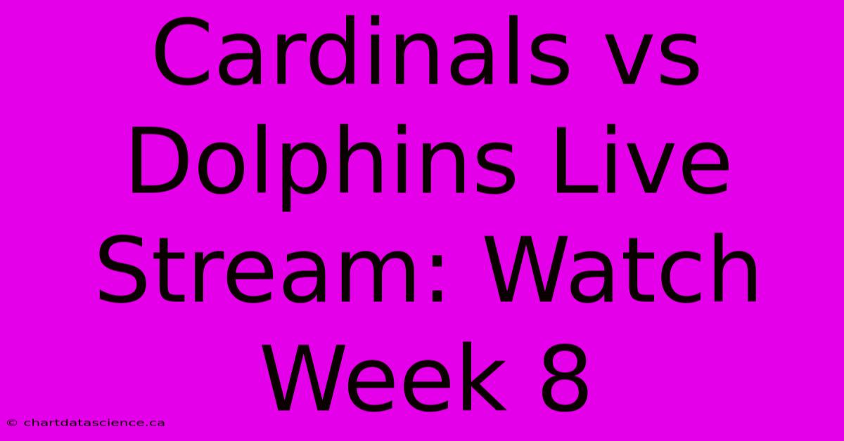 Cardinals Vs Dolphins Live Stream: Watch Week 8