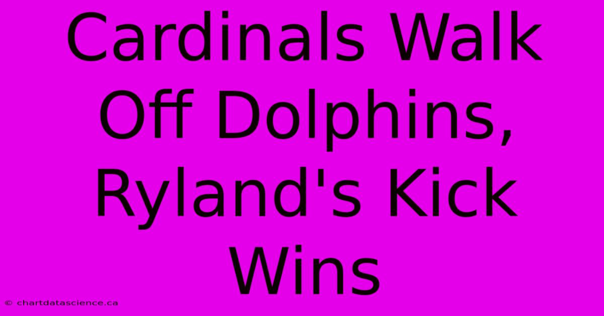 Cardinals Walk Off Dolphins, Ryland's Kick Wins 