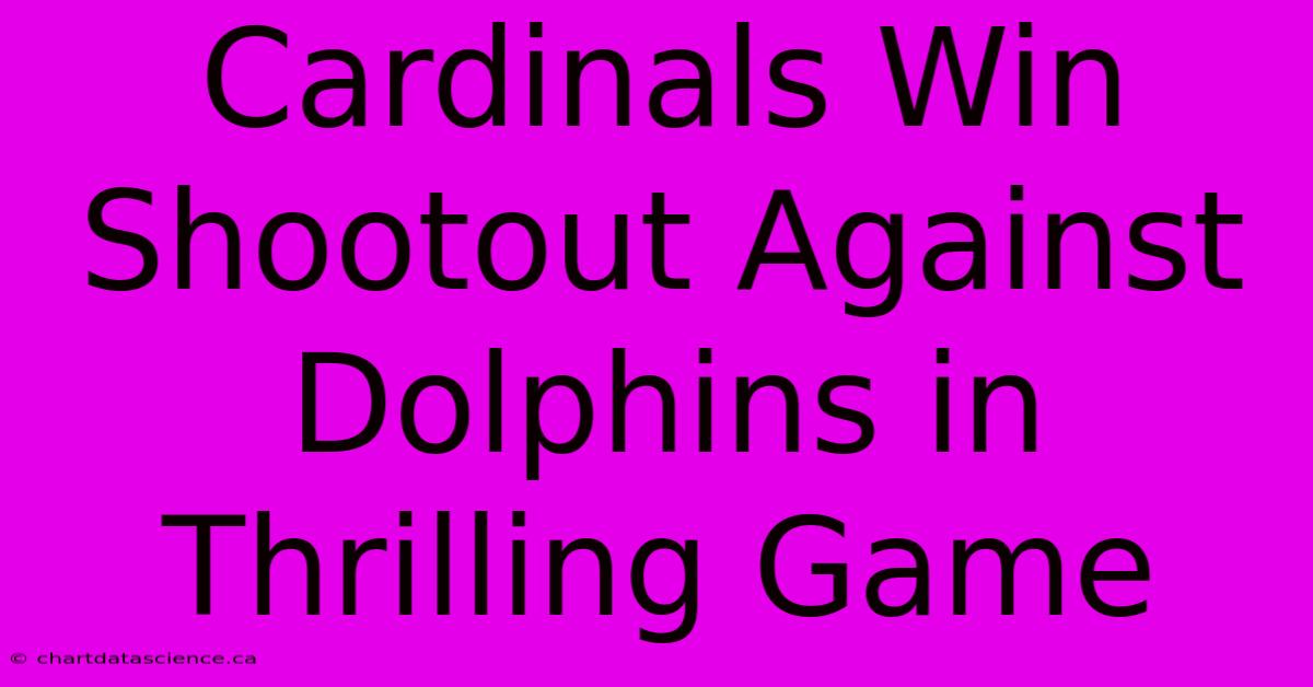 Cardinals Win Shootout Against Dolphins In Thrilling Game 