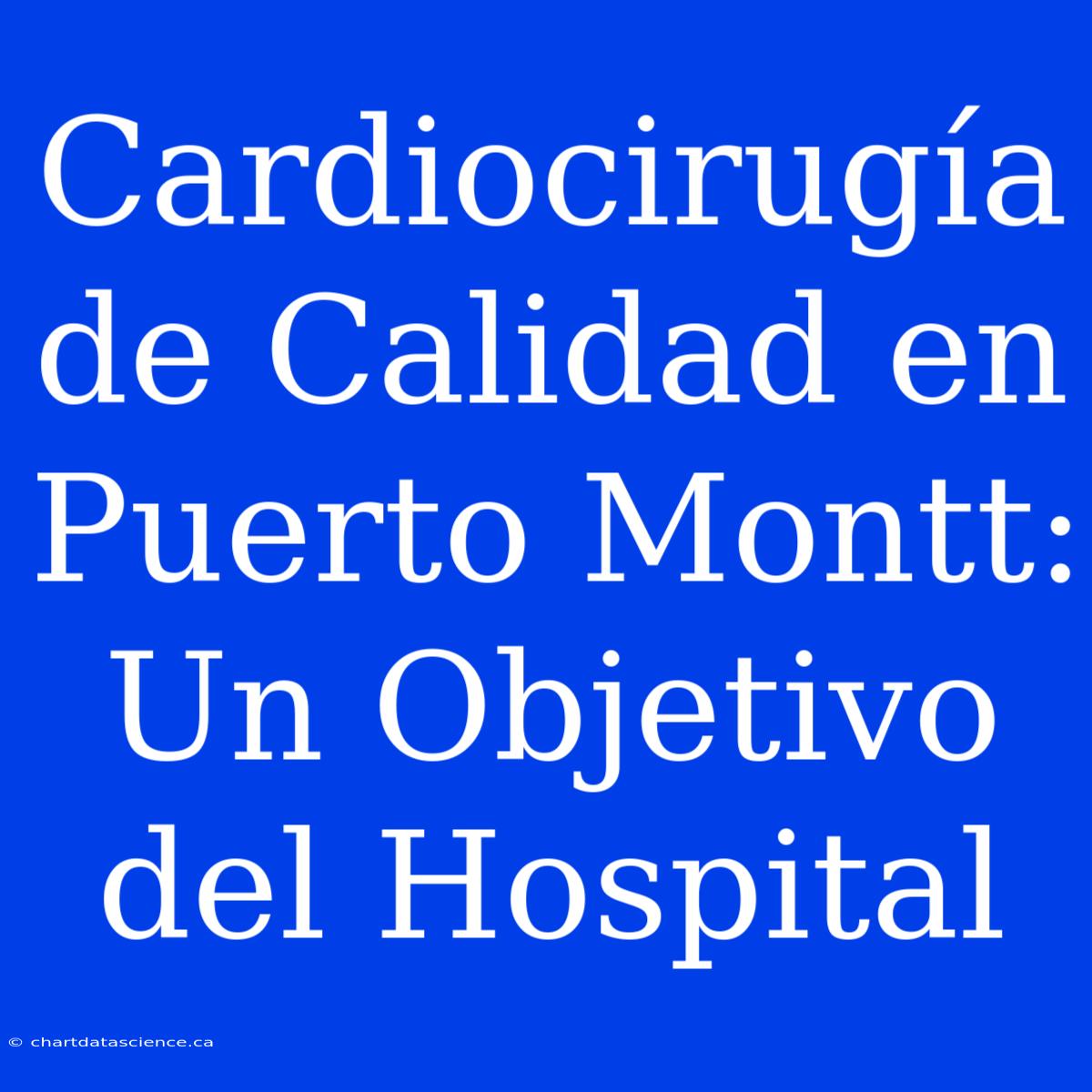 Cardiocirugía De Calidad En Puerto Montt:  Un Objetivo Del Hospital