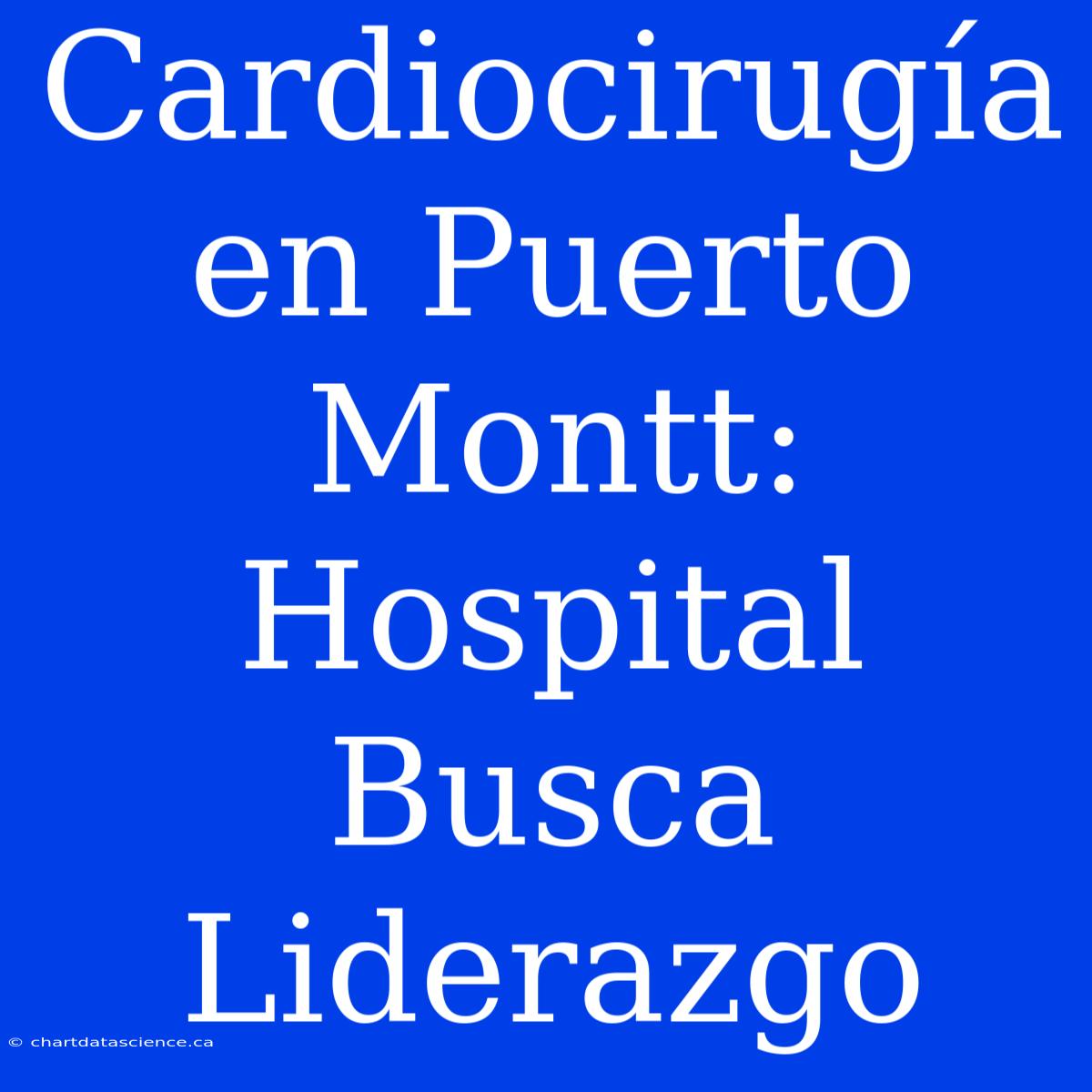 Cardiocirugía En Puerto Montt: Hospital Busca Liderazgo