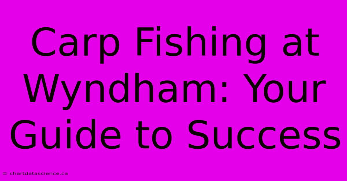 Carp Fishing At Wyndham: Your Guide To Success