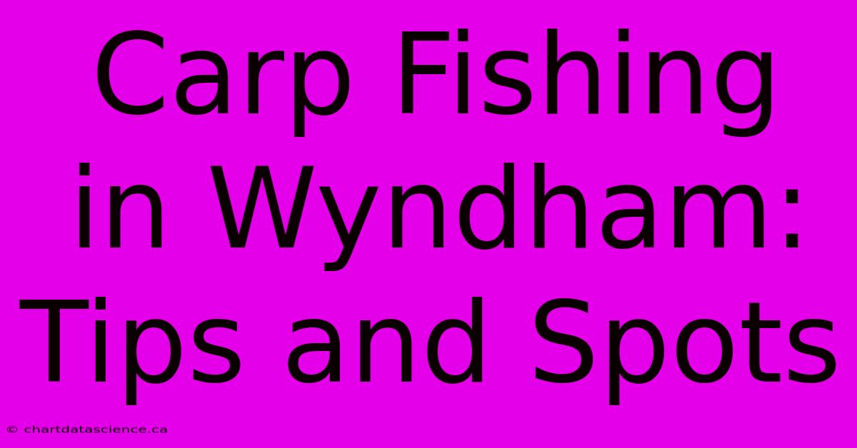 Carp Fishing In Wyndham: Tips And Spots