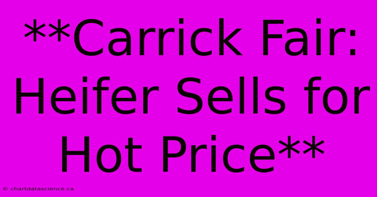 **Carrick Fair: Heifer Sells For Hot Price**