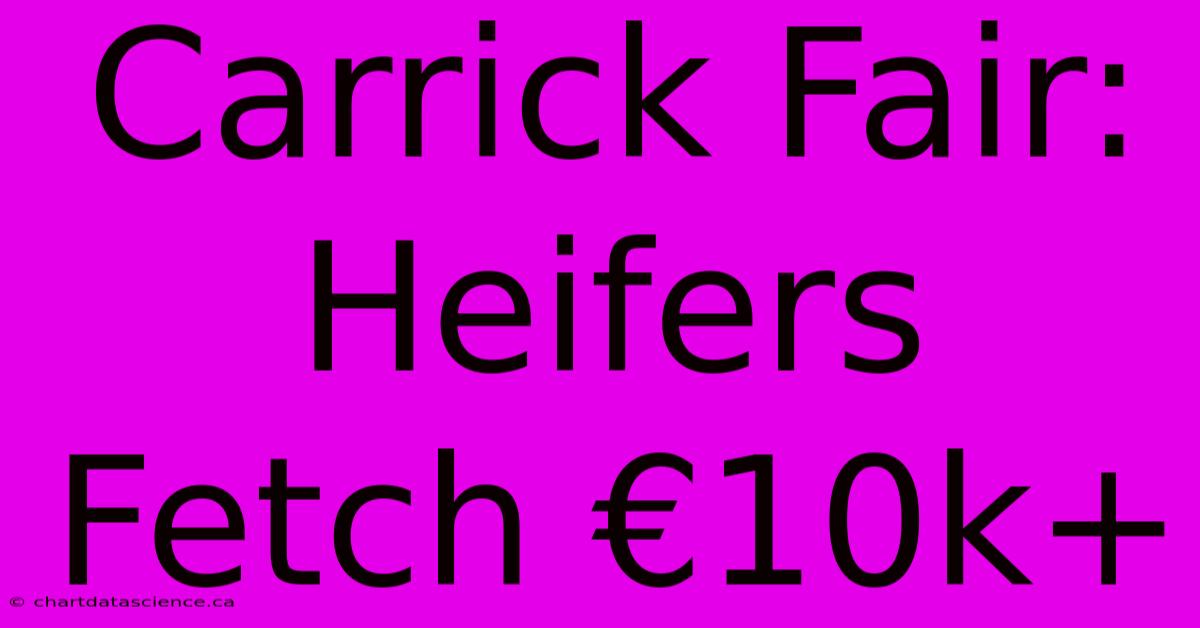 Carrick Fair: Heifers Fetch €10k+