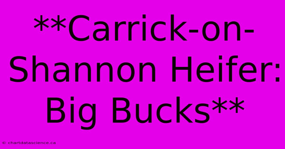 **Carrick-on-Shannon Heifer: Big Bucks**