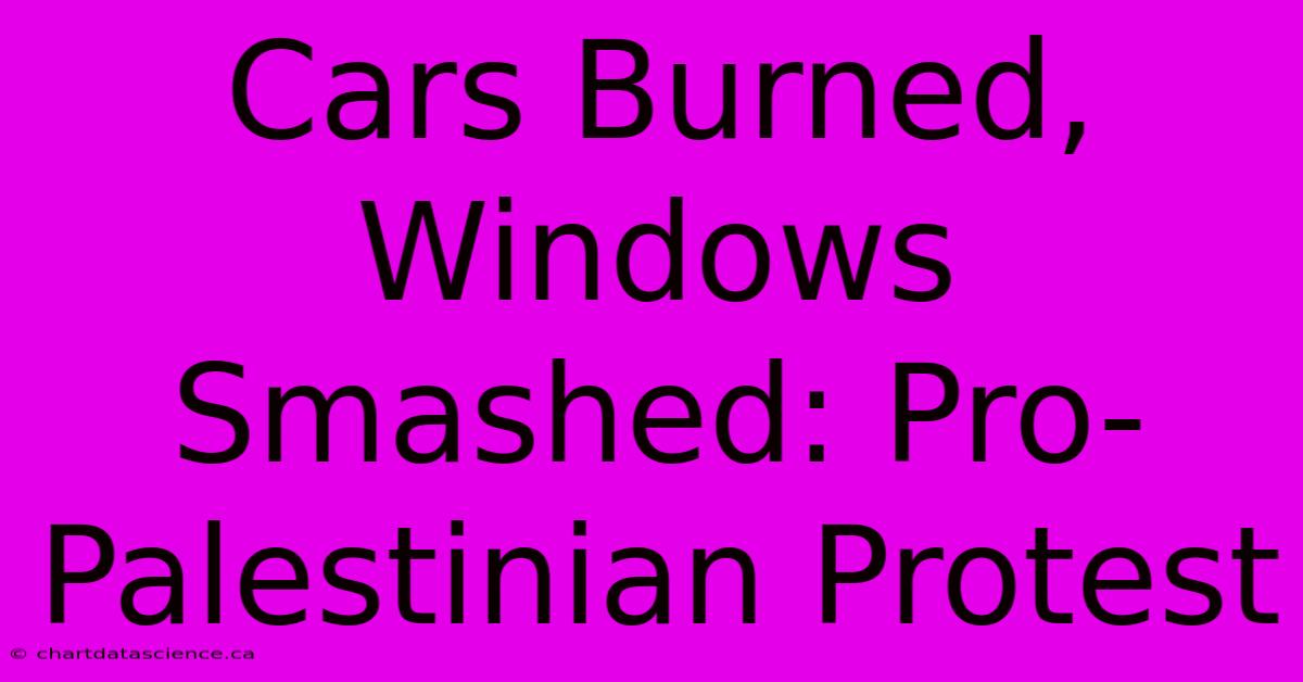 Cars Burned, Windows Smashed: Pro-Palestinian Protest