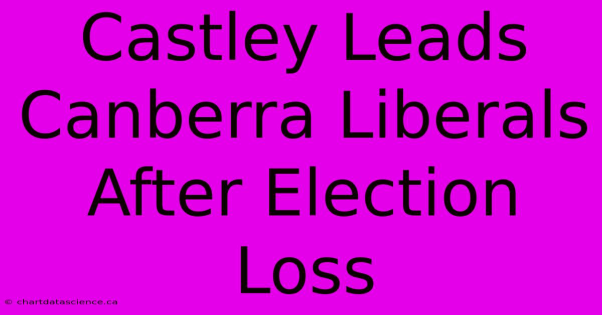 Castley Leads Canberra Liberals After Election Loss