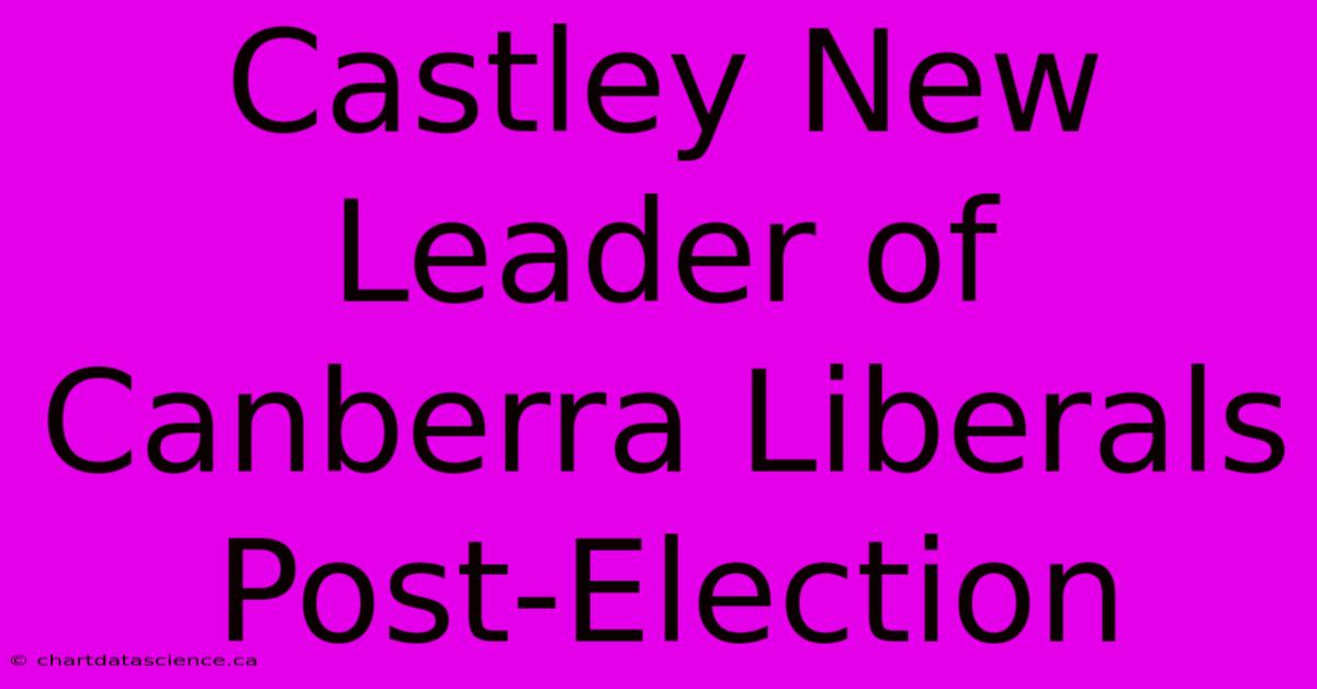 Castley New Leader Of Canberra Liberals Post-Election