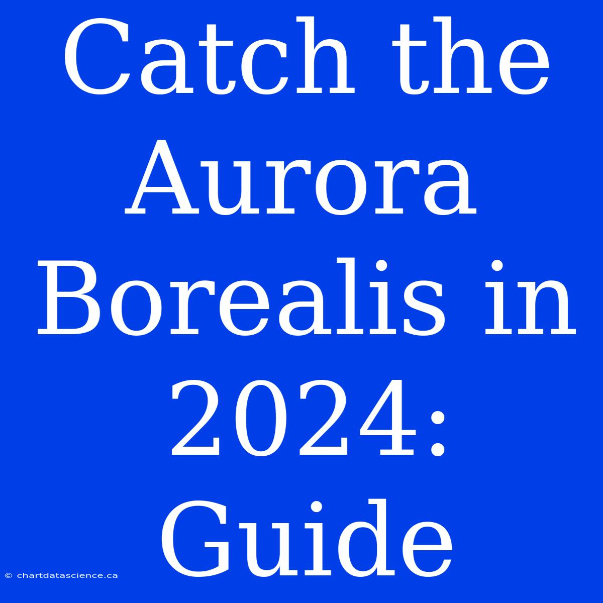 Catch The Aurora Borealis In 2024: Guide