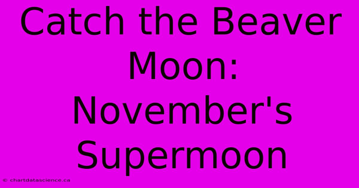 Catch The Beaver Moon: November's Supermoon