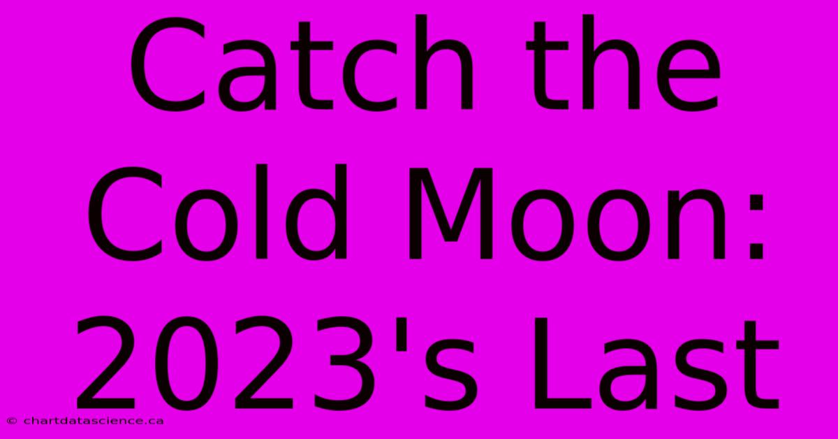 Catch The Cold Moon: 2023's Last