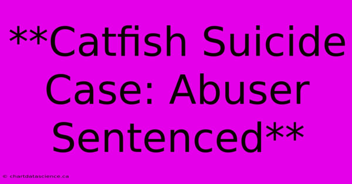 **Catfish Suicide Case: Abuser Sentenced**