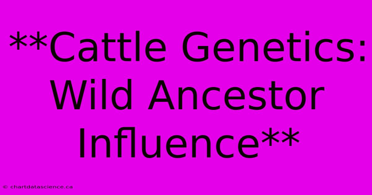 **Cattle Genetics: Wild Ancestor Influence**