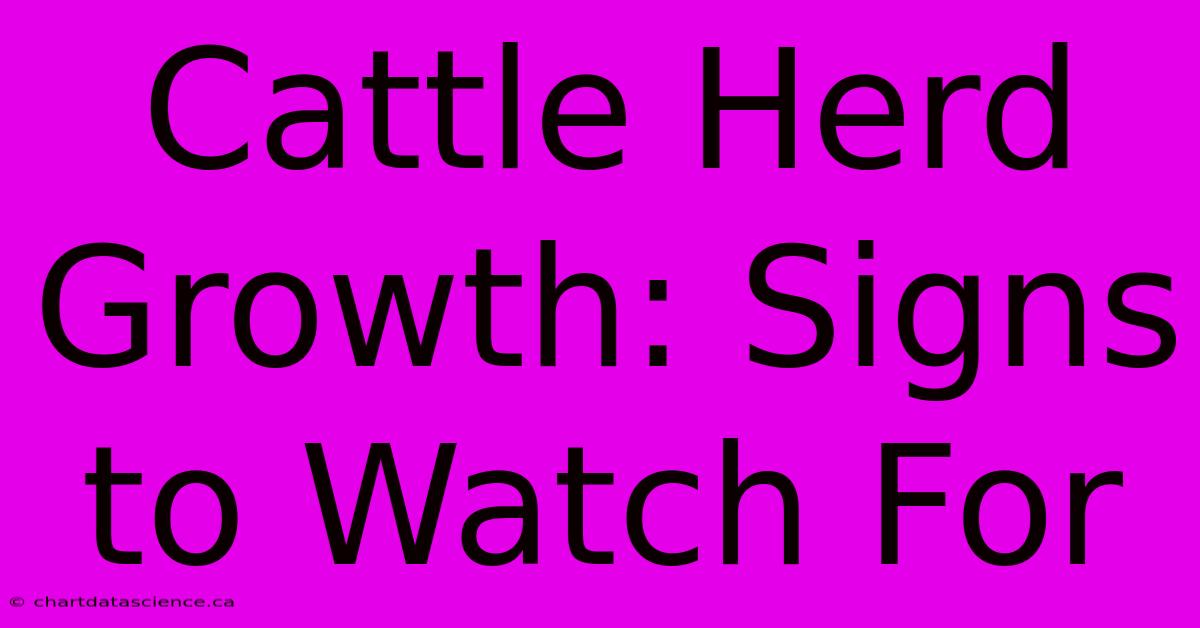 Cattle Herd Growth: Signs To Watch For