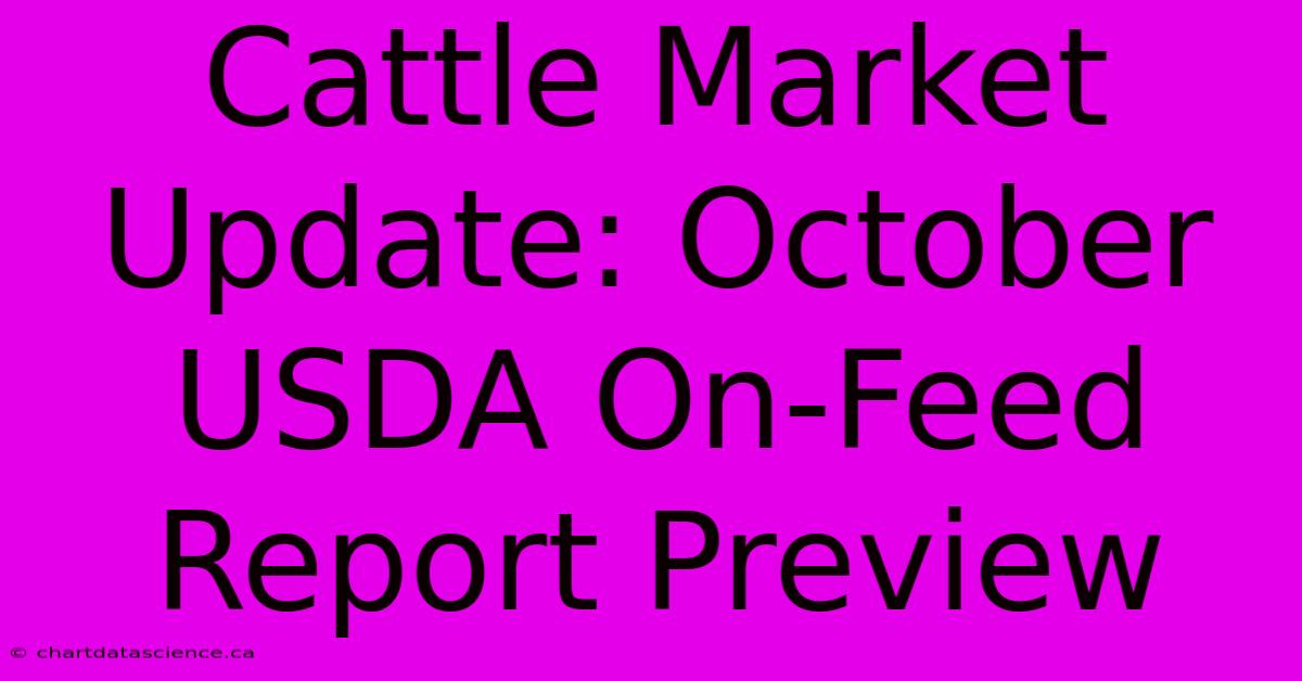 Cattle Market Update: October USDA On-Feed Report Preview