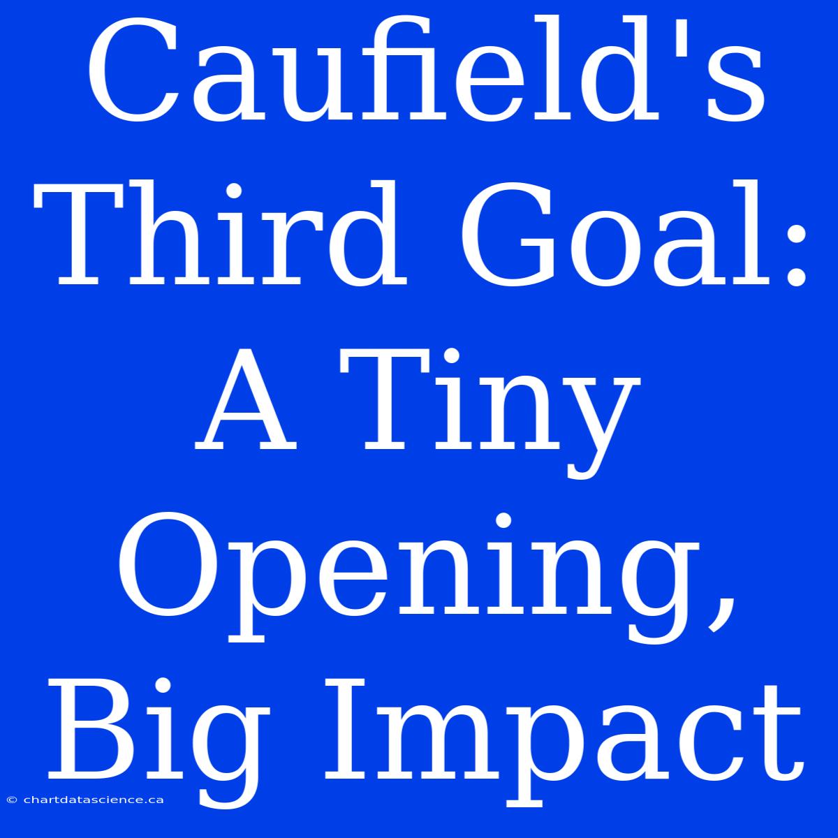 Caufield's Third Goal: A Tiny Opening, Big Impact