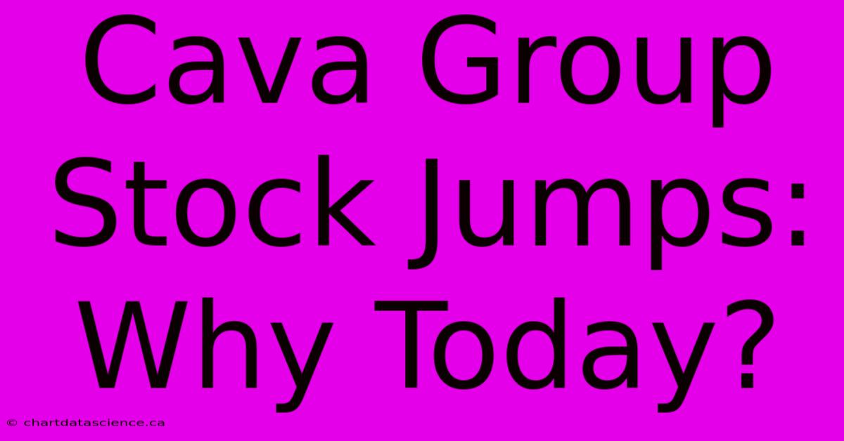 Cava Group Stock Jumps: Why Today?