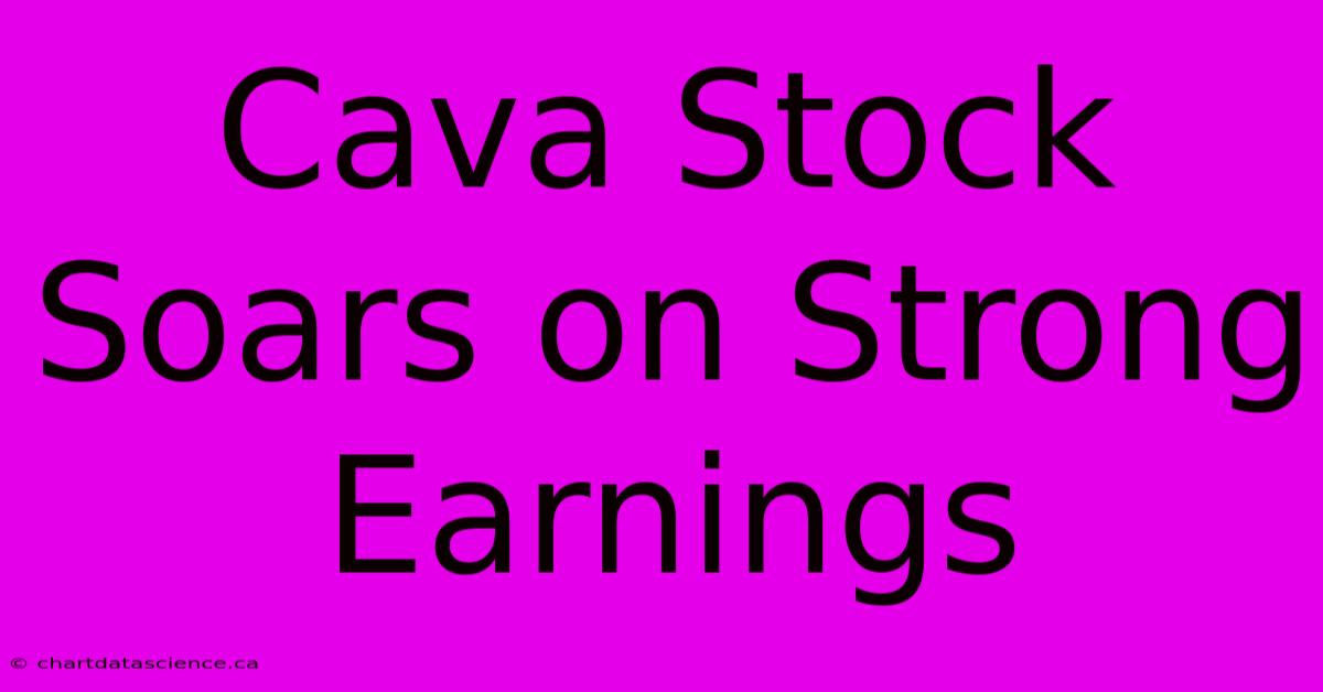 Cava Stock Soars On Strong Earnings